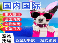 张家口机场物流国际宠物托运 【国